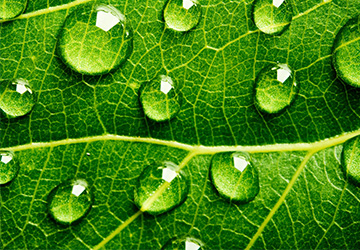 防水企業(yè)家必看：大數(shù)據(jù)時(shí)代來(lái)臨，防水行業(yè)會(huì)有哪些改變v